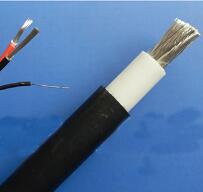 WDZ-DCK，WDZ-DCKP-125，DCEVM機車電纜
